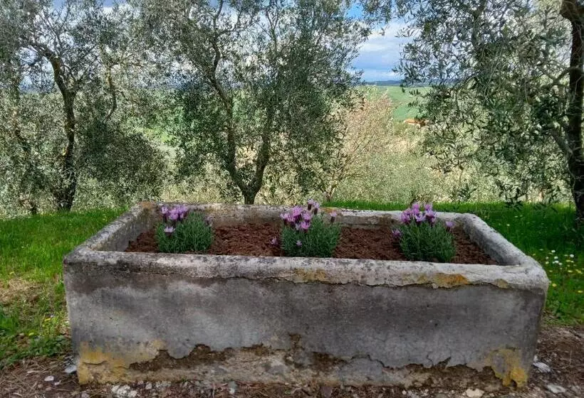 هتل Agriturismo Collesassi