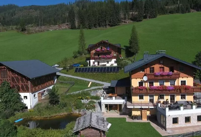 ホテル Bio Alpenhof Rostatt