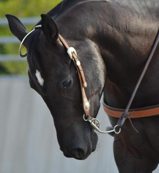 酒店 Pietra Cavalla Ranch & Resort