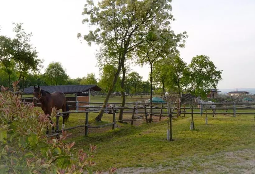ホテル Pietra Cavalla   Ranch & Resort