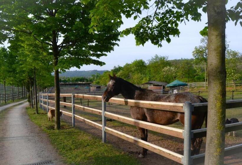 酒店 Pietra Cavalla Ranch & Resort