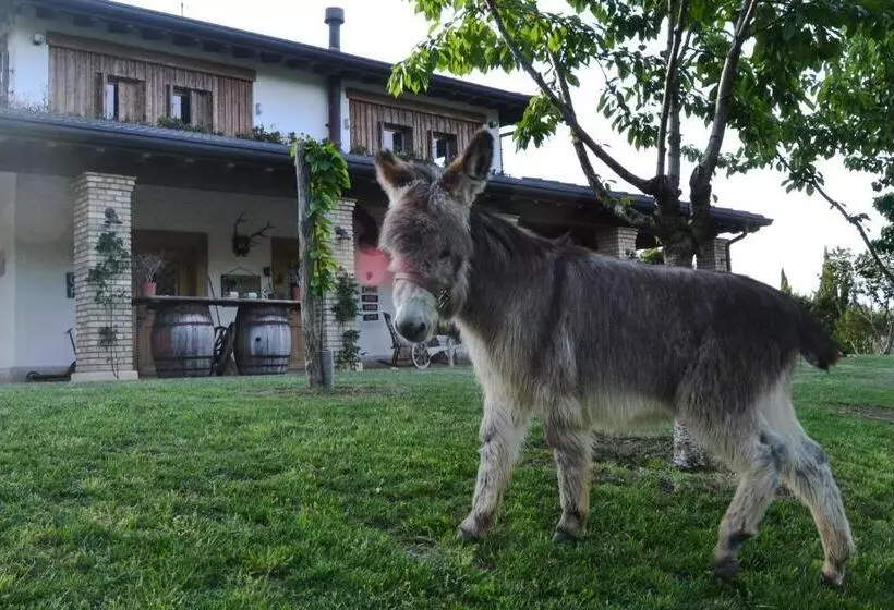 ホテル Pietra Cavalla   Ranch & Resort