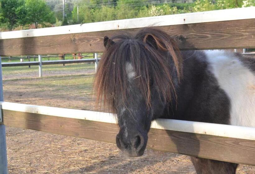 酒店 Pietra Cavalla Ranch & Resort