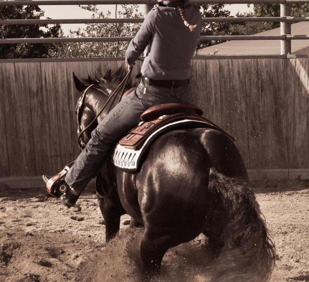 酒店 Pietra Cavalla Ranch & Resort