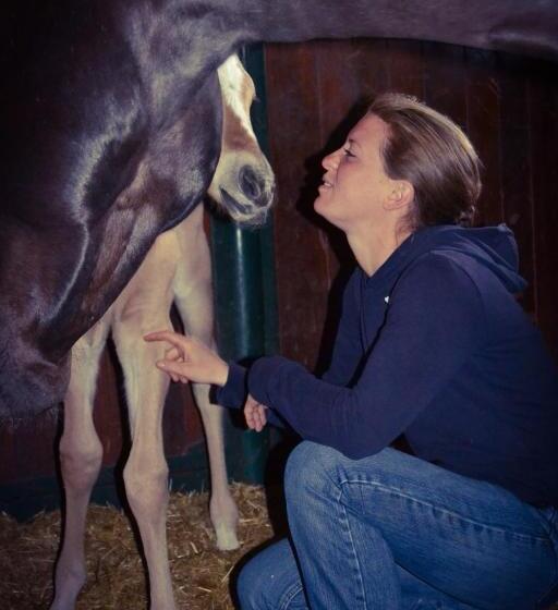 酒店 Pietra Cavalla Ranch & Resort