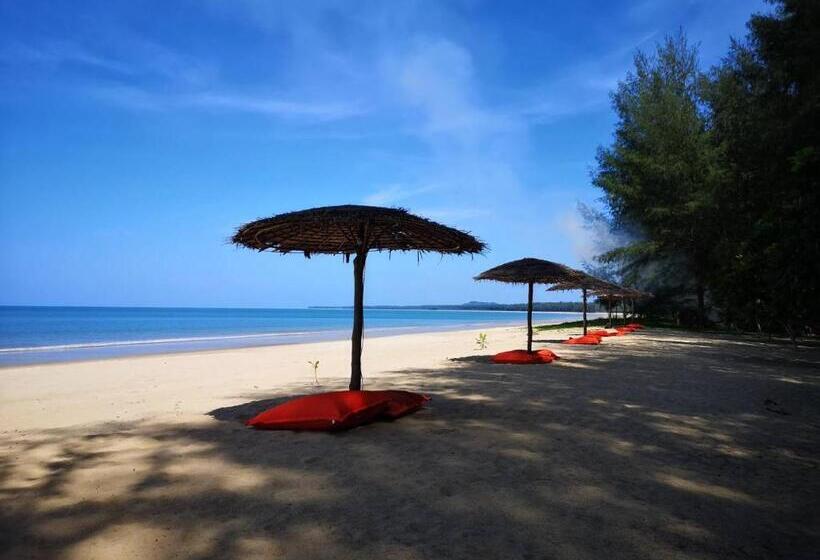 פנסיון Hapla Beach Cottage