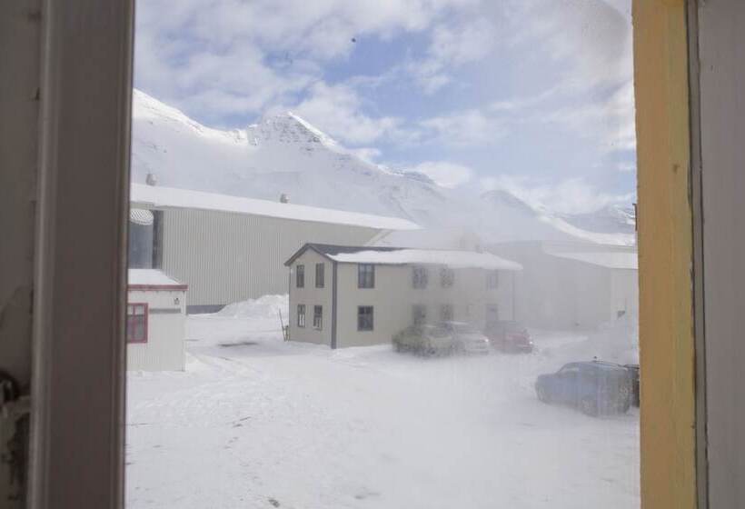 پانسیون Soffia S House Hostel