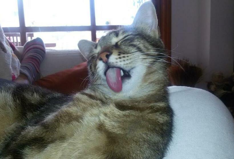 Pensjonat Studio Room Ensuite By The Beach, Entire Independent Unit