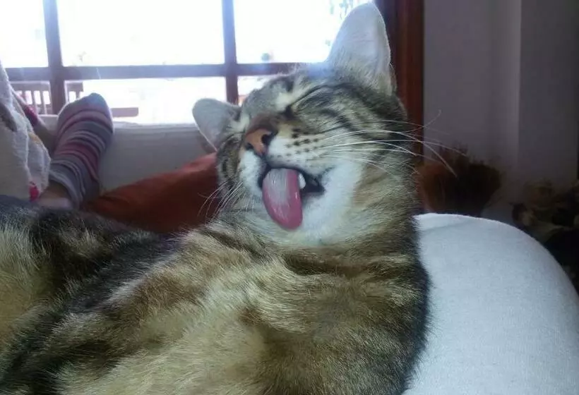 Majatalo Studio Room Ensuite By The Beach, Entire Independent Unit