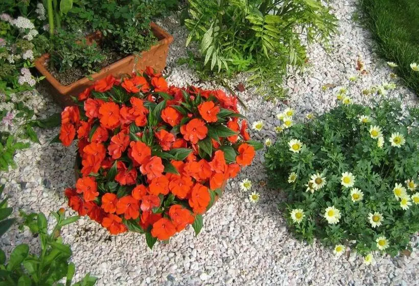 ペンション Zistler S Blaufränkischhof