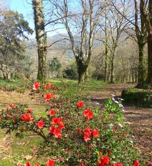 ベッドアンドブレックファースト Quinta Do Casal