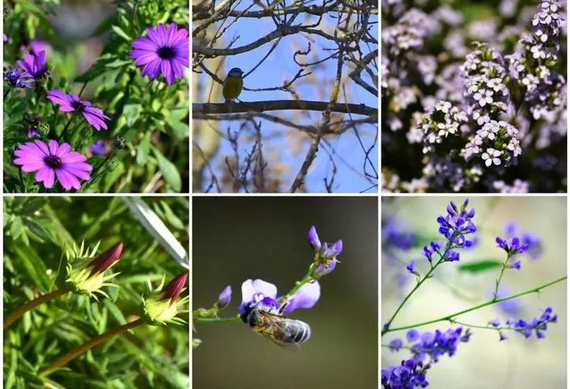 ベッドアンドブレックファースト Quinta Do Casal