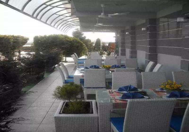 酒店 Petrol Company