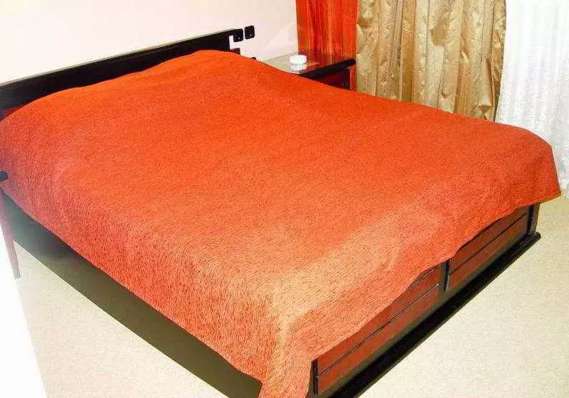 酒店 Petrol Company