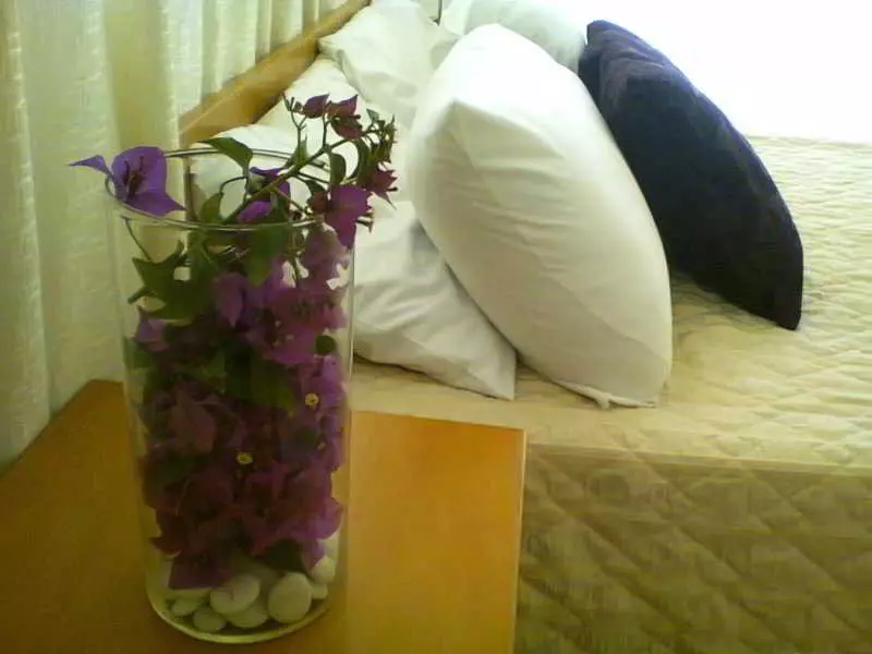 Сельский отель Aurora Apartments