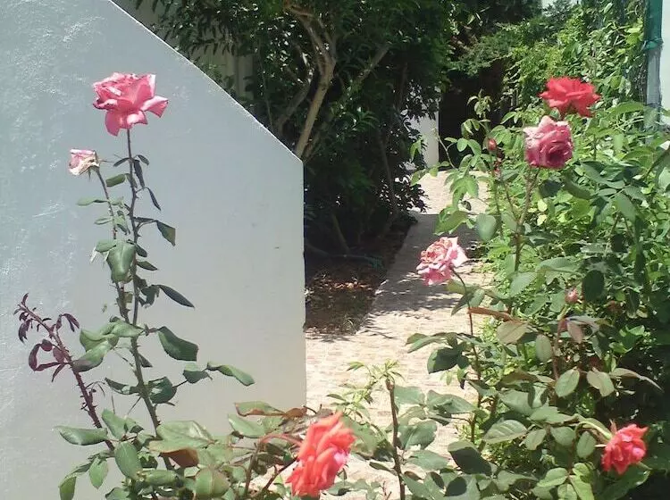 Kiveli Apartments