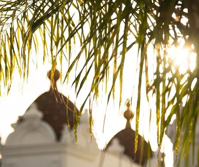 Oz Hotels Side Premium