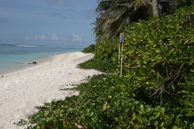 پانسیون Ripple Beach Inn