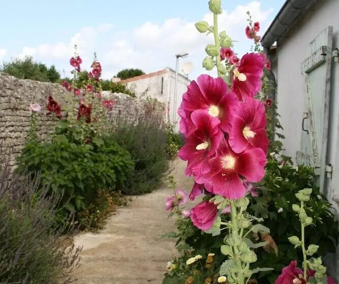 住所 Vvf Résidence île De Ré Ars En Ré