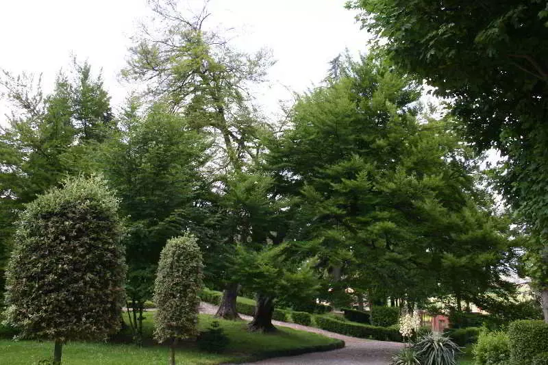 Bed and Breakfast Castello Di Uviglie