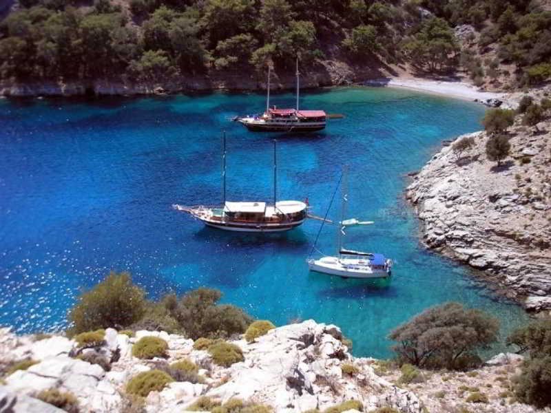 Hotel Blessed With Love Of Aphrodite