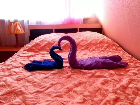 בית מלון כפרי Briz