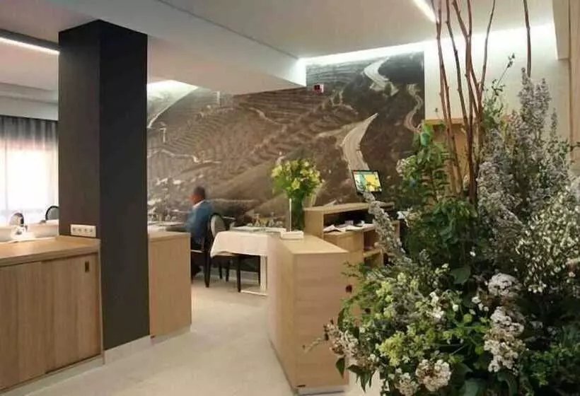 Otel Douro Inn