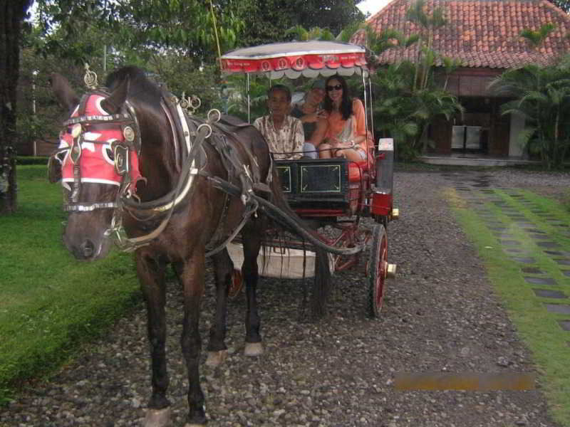 فندق Rumah Sleman