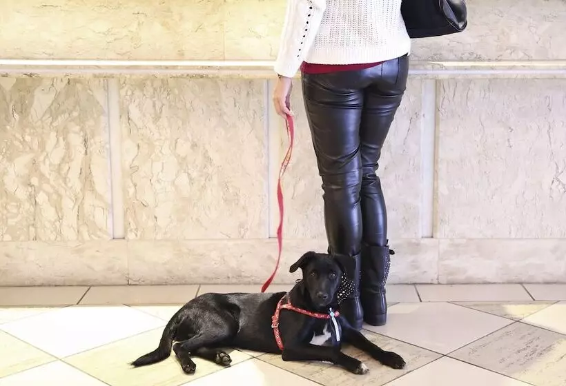 Vitória Hotel Residence Newport