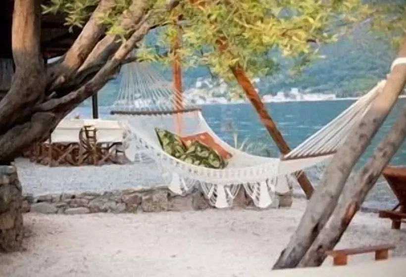 هتل Bella Vista
