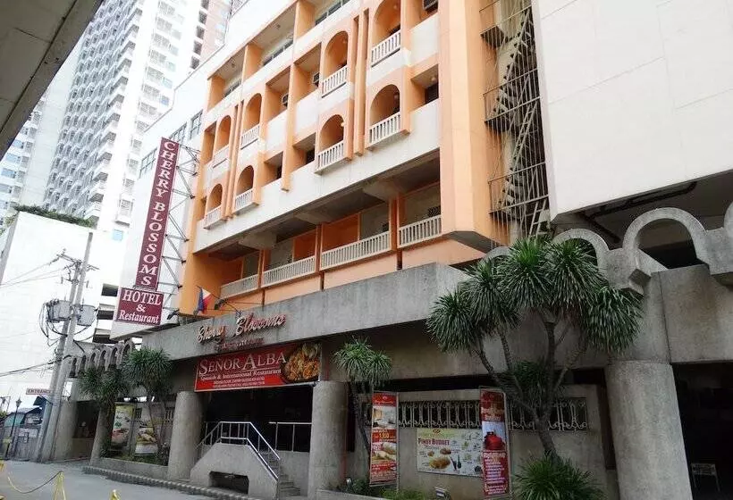 فندق Cherry Blossoms