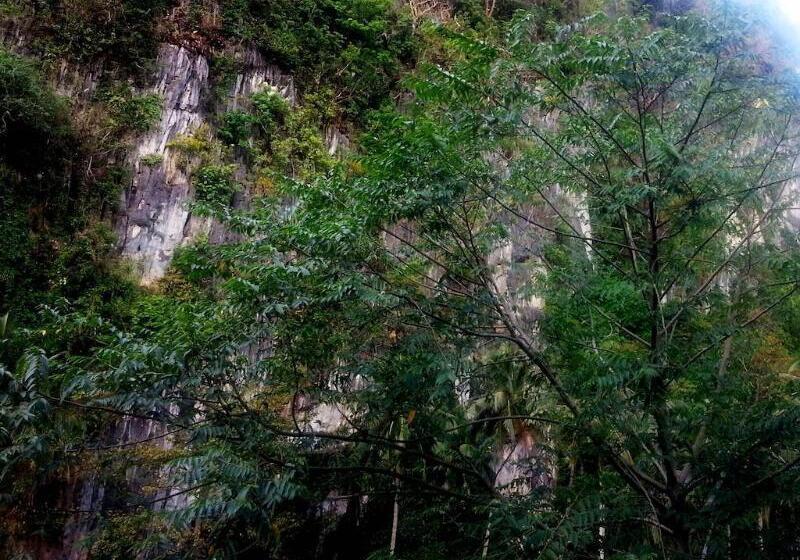 בית מלון כפרי El Nido Viewdeck Cottages