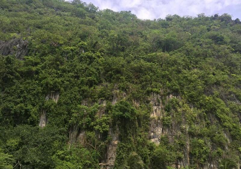 בית מלון כפרי El Nido Viewdeck Cottages