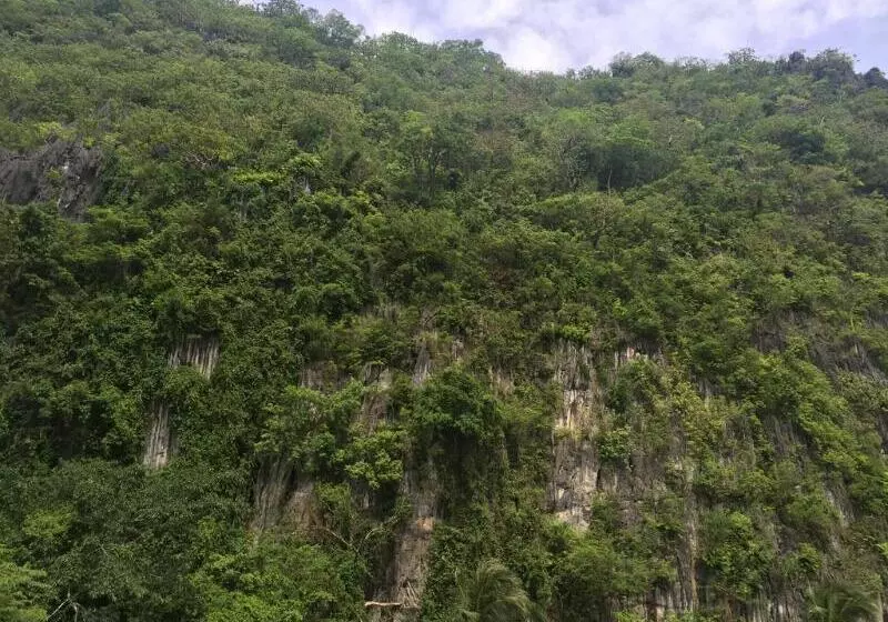 ホテル El Nido Viewdeck Cottages