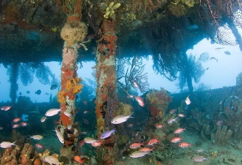 בית מלון כפרי Ti Kaye Resort & Spa