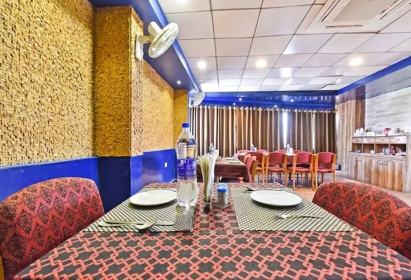 Отель Vatika Inn