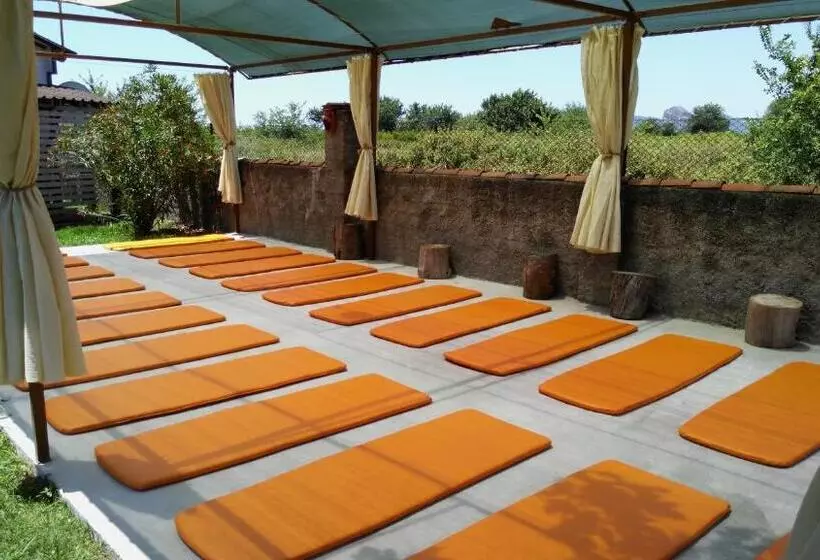 Sedir Resort   Hotel Rooms, Bungalows & Suites