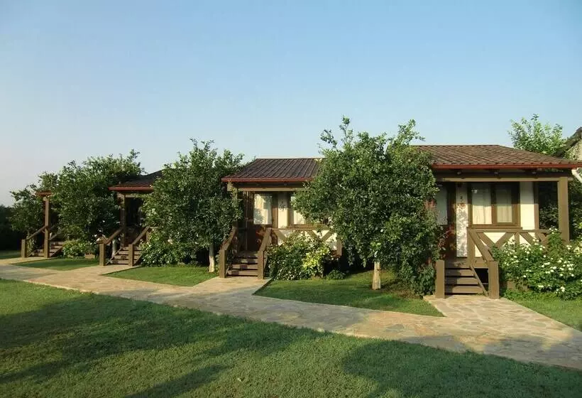 Sedir Resort   Hotel Rooms, Bungalows & Suites