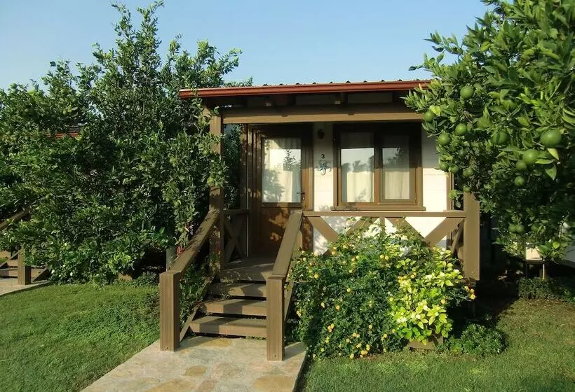 Sedir Resort   Hotel Rooms, Bungalows & Suites