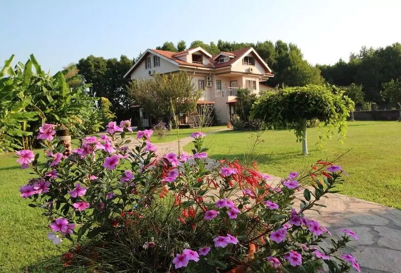 Sedir Resort   Hotel Rooms, Bungalows & Suites