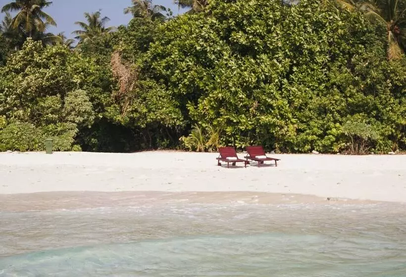هتل Gurahaana Guest House