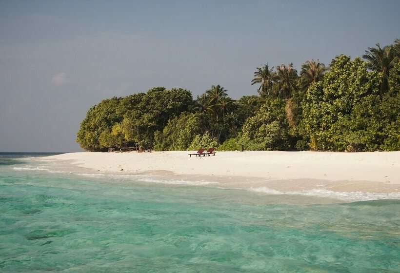 هتل Gurahaana Guest House