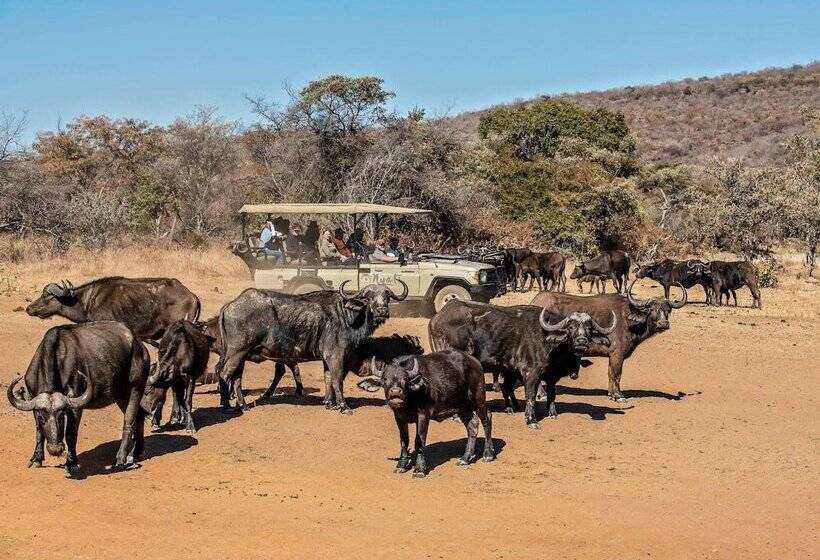 호텔 Valamanzi Lodge