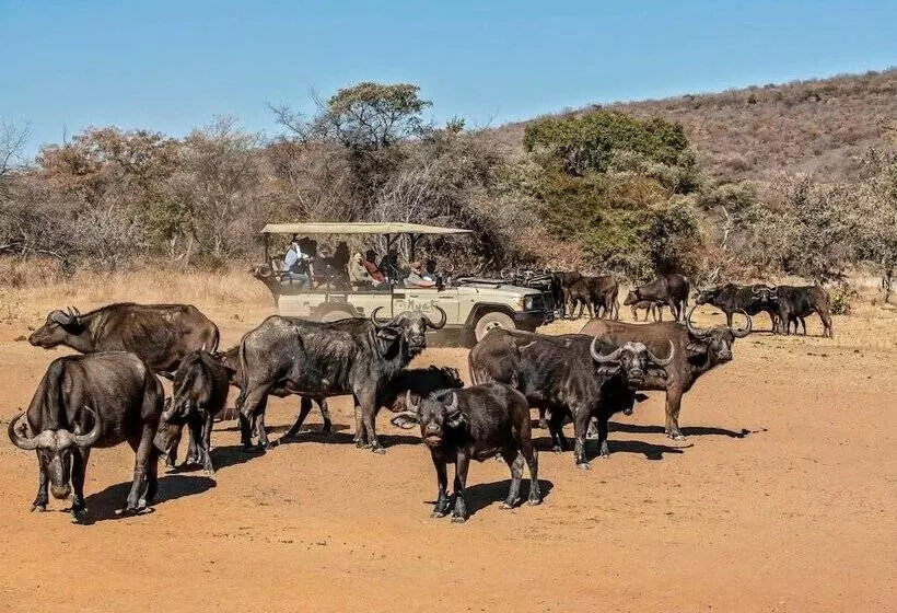 ホテル Valamanzi Lodge