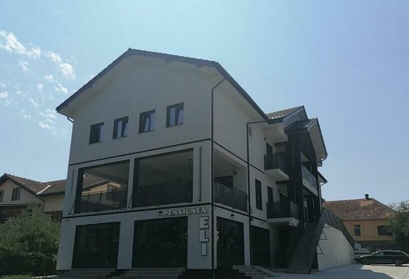 Pensiunea Eli