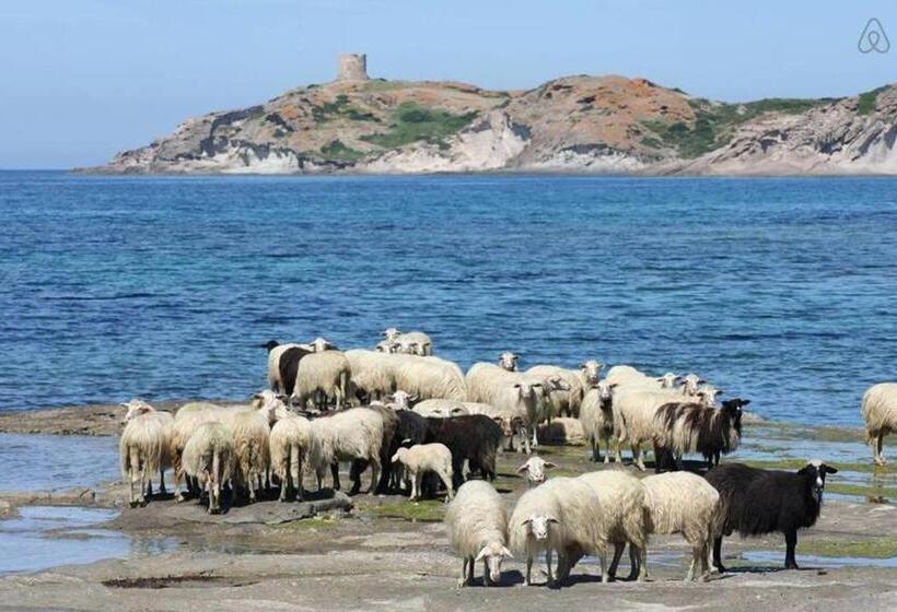 مبيت وإفطار Casa Brujana