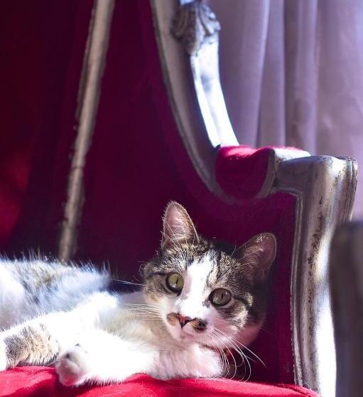 هتل Parque De Los Novios Inn