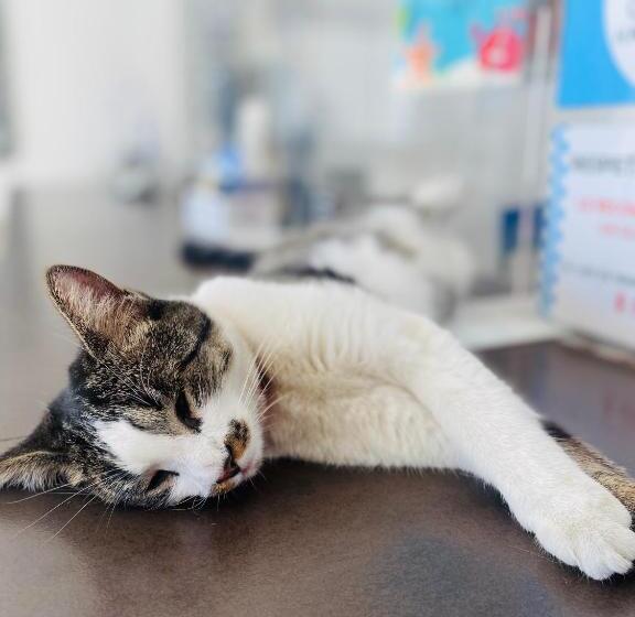 هتل Parque De Los Novios Inn