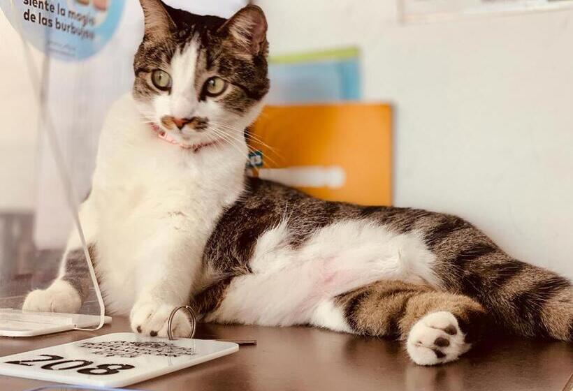 هتل Parque De Los Novios Inn