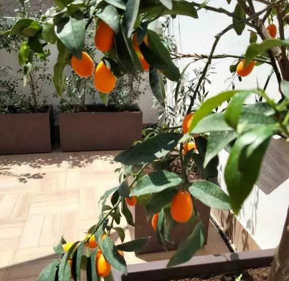 Majatalo Maison Chene Con Vasca Idromassaggio